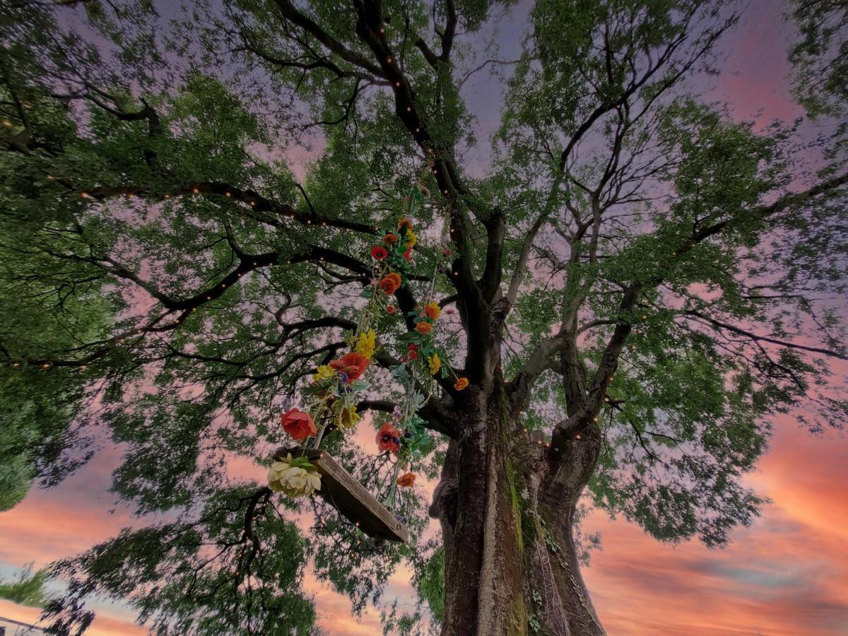 Garda Relais Antica Romelia Bed & Breakfast มอนติเคียรี ภายนอก รูปภาพ