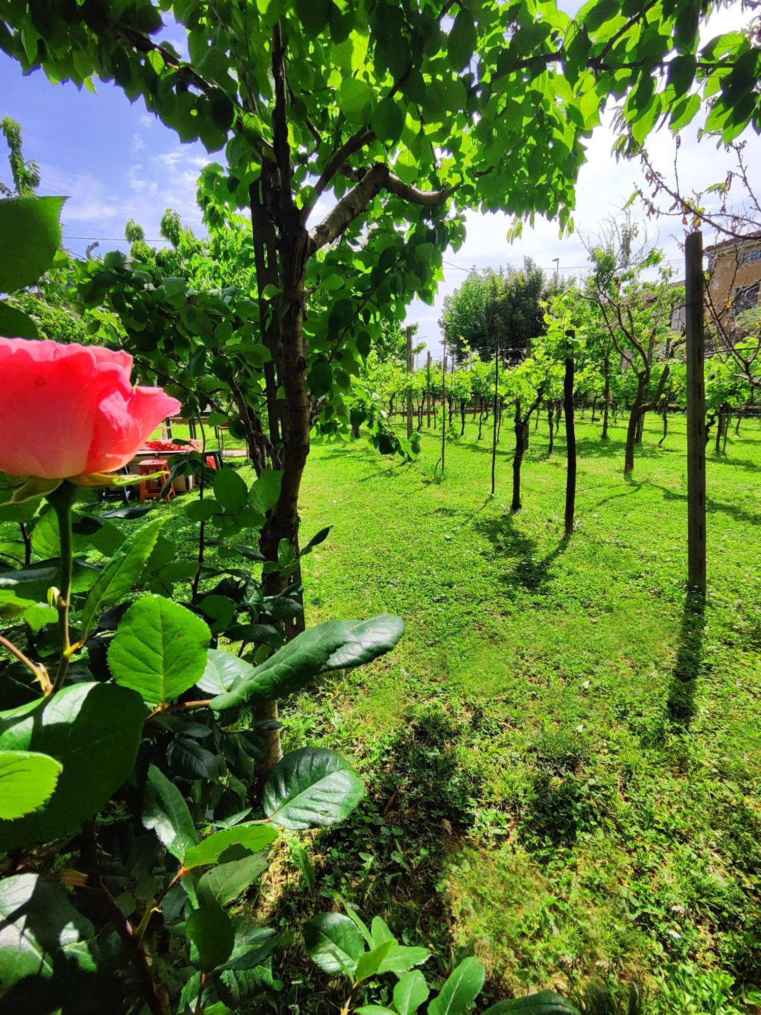 Garda Relais Antica Romelia Bed & Breakfast มอนติเคียรี ภายนอก รูปภาพ