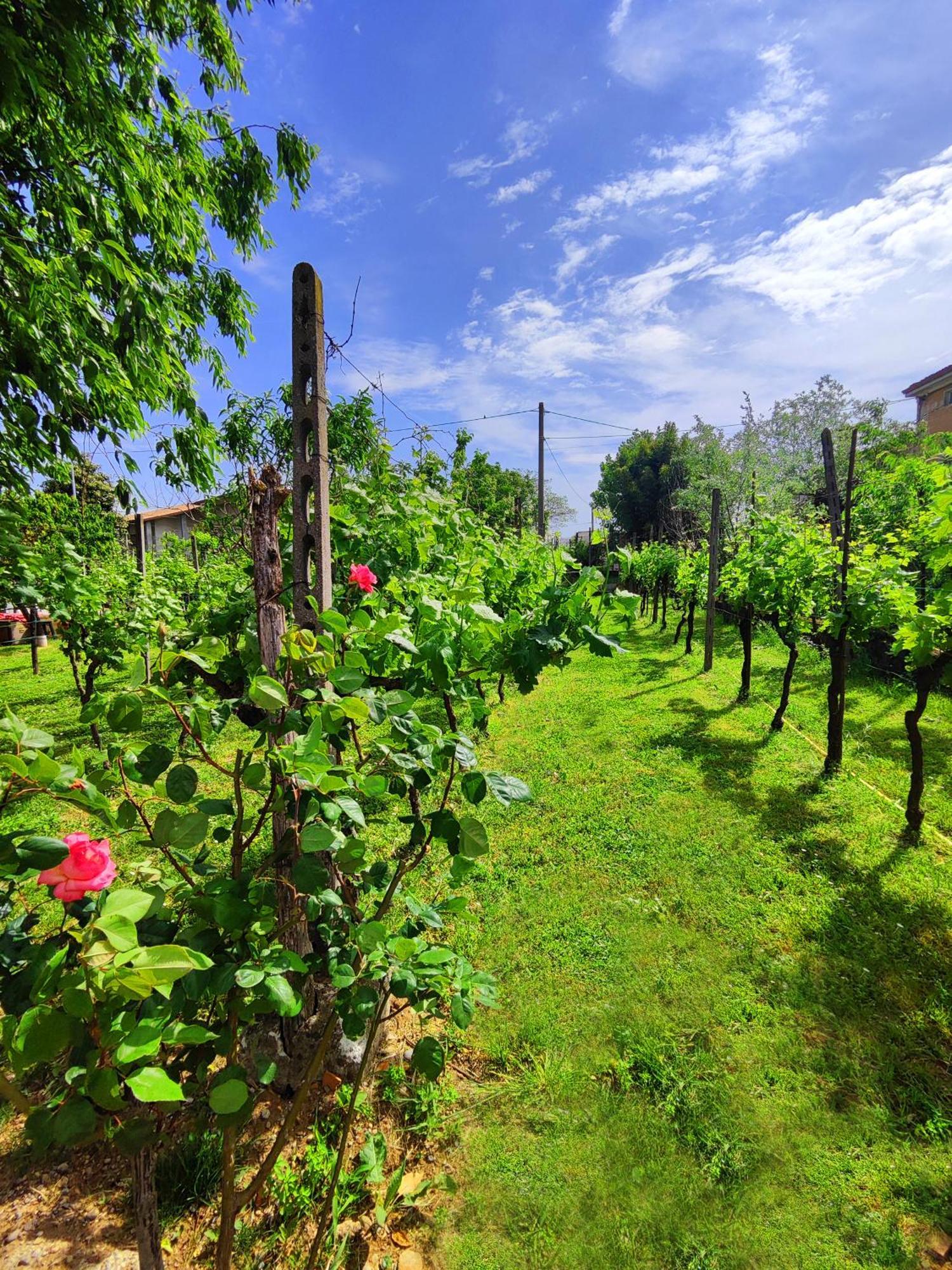 Garda Relais Antica Romelia Bed & Breakfast มอนติเคียรี ภายนอก รูปภาพ